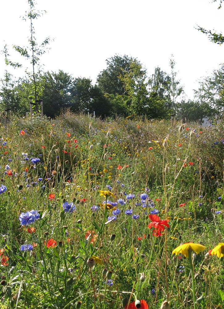 3_forside_blomster 3_forside_blomster