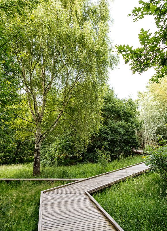 Eventyrskoven_2 Eventyrskoven_2